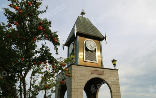 Preview: Pomegranate tree with fruits and a clock tower