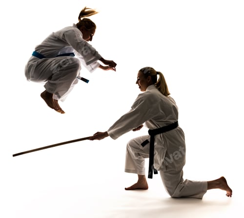 Preview: Two women athletes training karate in jumping