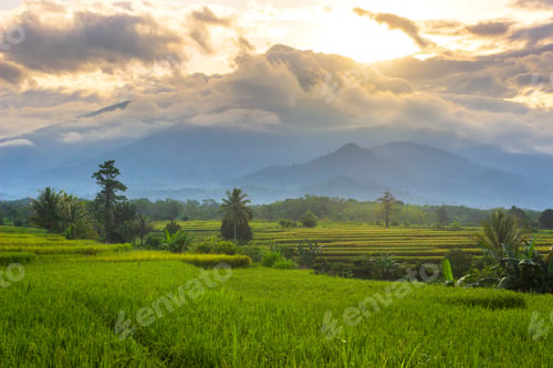 Preview: beautiful morning view from Indonesia of mountains and tropical forest