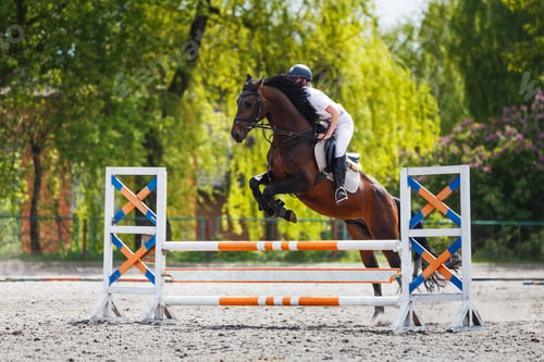 Preview: Young female rider jumping over obstacle on her show jumping competition