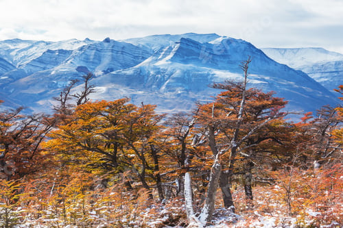 Preview: Autumn in mountains