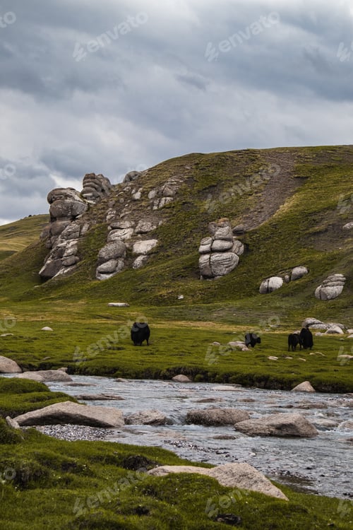 Preview: Yaks grazing by a river with unique rock formations