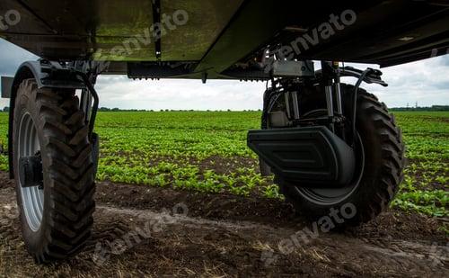 Preview: view of a field of beets from under a self-propelled sprayer, agriculture, processing