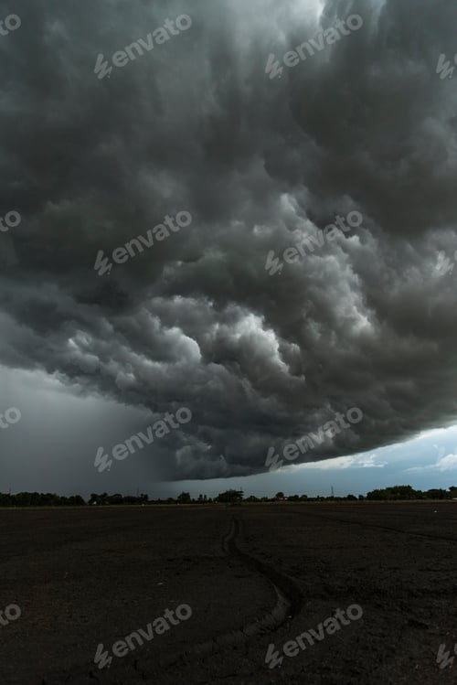 Preview: the big raincloud