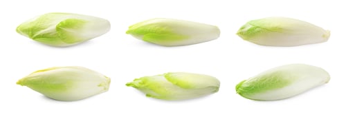 Preview: Fresh leaf chicory isolated on white, set