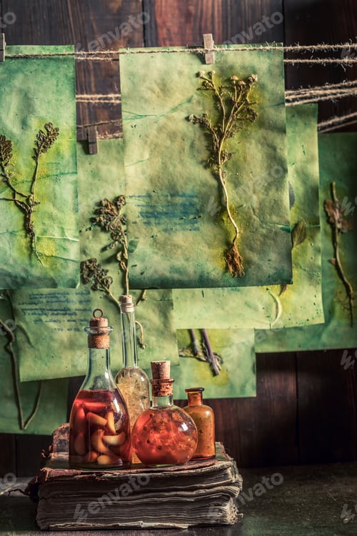 Preview: Creepy and strange herbal workshop with dried herbs and flowers