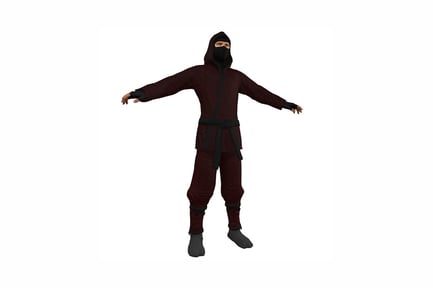 Preview: Ninja in attack stance