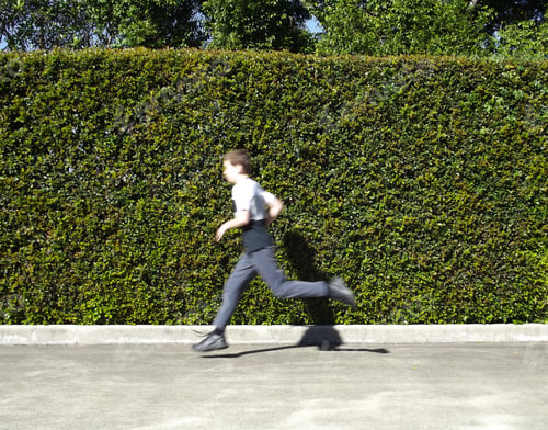 Preview: Boy running in front of a hedge