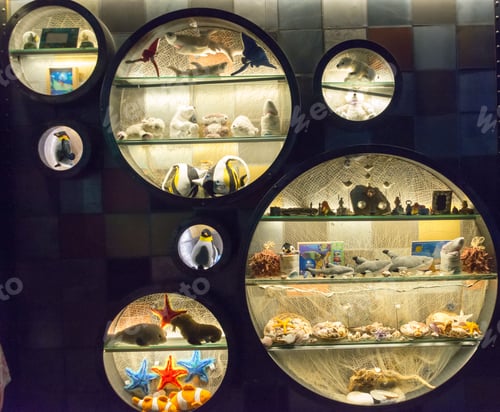 Preview: Showcase for marine objects