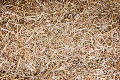 Preview: Background texture of straw closeup. Natural texture