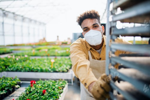 Preview: Young man working in greenhouse in garden center, coronavirus concept