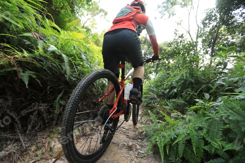 Preview: Cycling in the forest