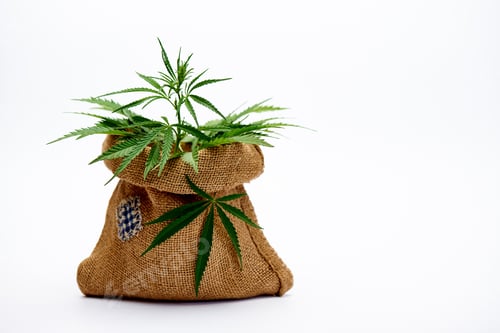 Preview: Jute bag with cannabis