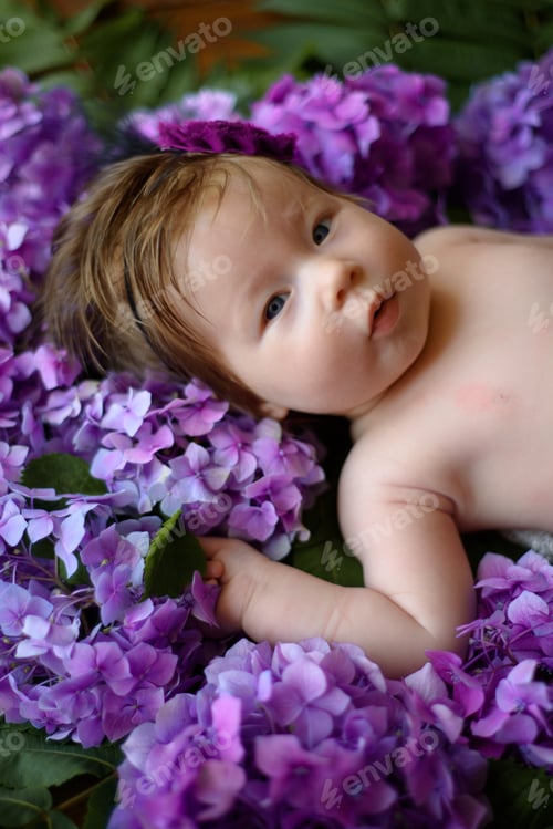 Preview: Portrait of a cute little girl (six months old). Baby lies in the colors of purple hydrangea