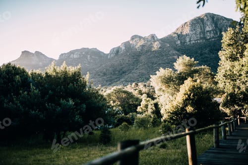 Preview: nature