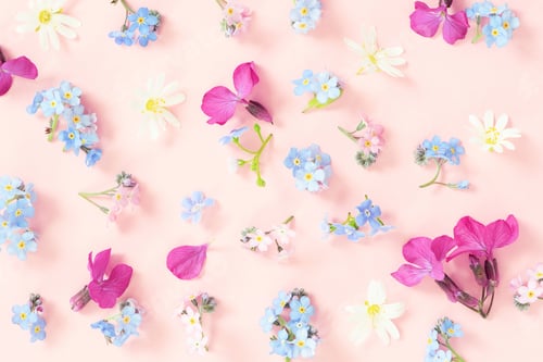 Preview: Tender Pattern of Fresh Flowers