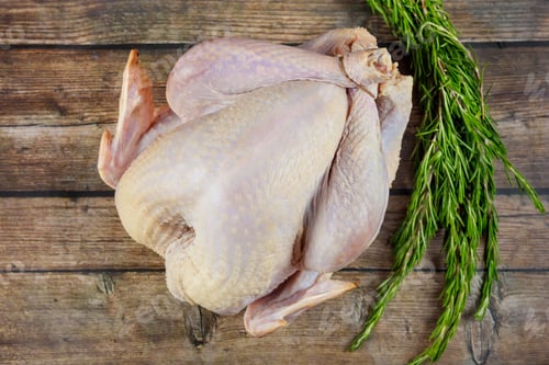 Preview: Fresh whole turkey on wooden background with herbs.