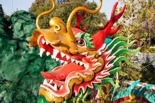 Preview: Golden Dragon show on parade in Chinese New Year Festival