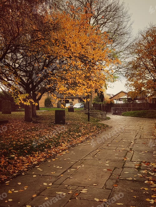 Preview: Streets in fall
