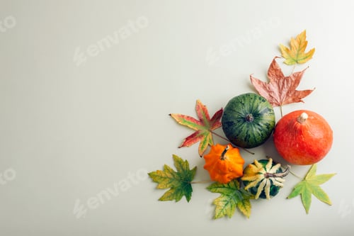 Preview: Autumn thanksgiving flat lay with colorful pumpkins and leaves on green background.