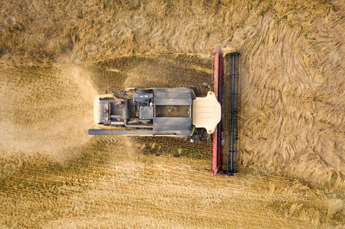 Preview: Aerial view of combine harvester harvesting large ripe wheat field. Agriculture from drone view.