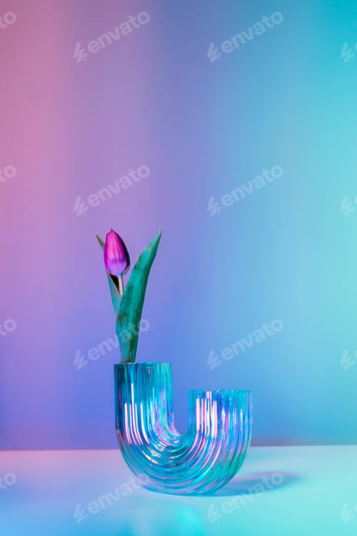 Preview: Purple tulip in a rainbow holographic glass vase on gradient background. bouquet of fresh flower