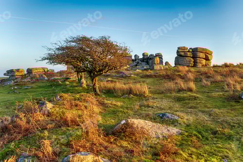 Preview: Combestone Tor near Hexworthy on Dartmoor
