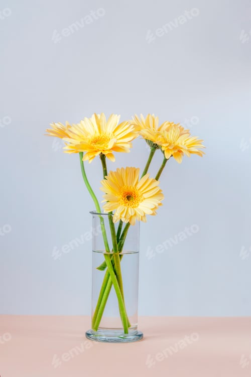 Preview: Yellow Gerbera Daisies in a Vase Still Life