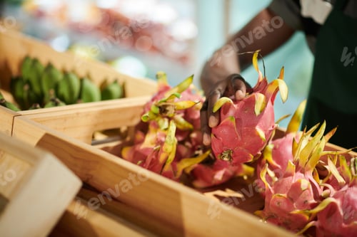 Preview: Fresh Dragon Fruits in Store