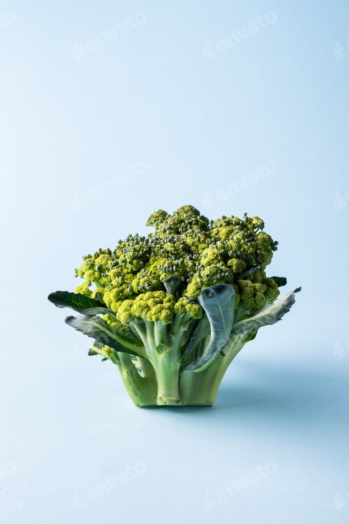 Preview: Broccoli sprig on colored background, asparagus cabbage isolated. Perfect Sprig of Fresh Broccoli