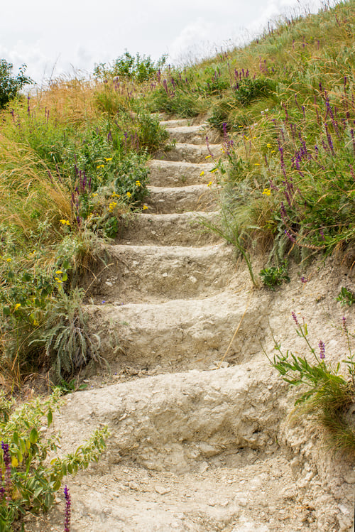 Preview: The ladder from the earth.Stairs in the field.Wild field. Close-up.
