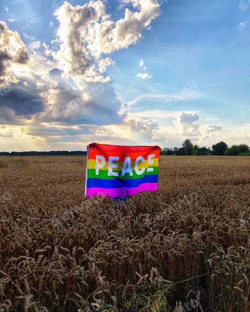 Preview: A girl in a field with a flag