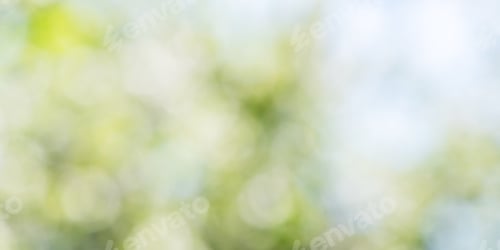 Preview: Sunny green foliage bokeh background