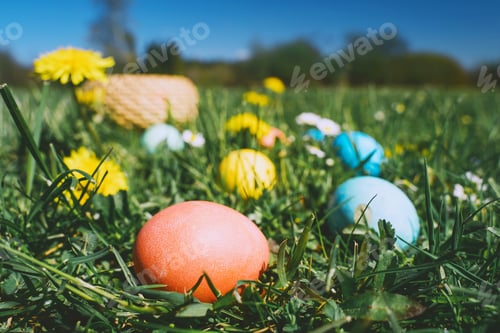 Preview: Easter eggs hunt background