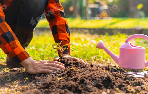 Preview: World environment day afforestation nature and ecology concept The hands of a young male volunteer a