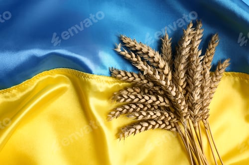 Preview: Ears of wheat on Ukrainian national flag, flat lay. Space for text