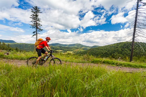 Preview: Mountain biking man riding in woods and mountains
