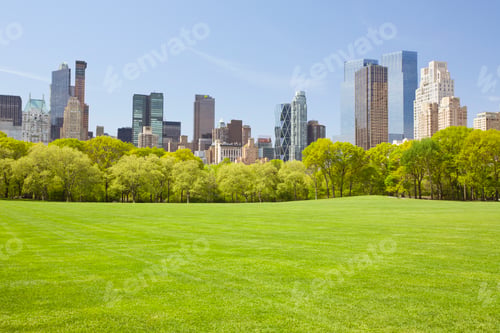 Preview: Central Park in New York