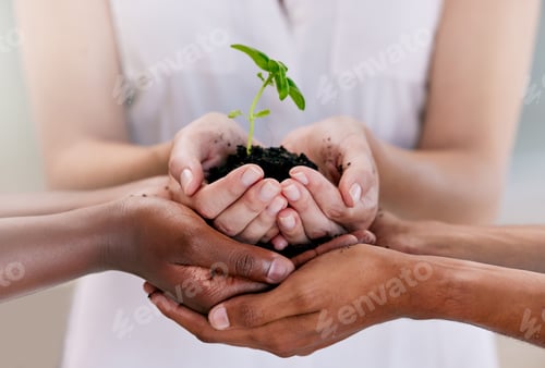 Preview: Growth, teamwork and sustainability plant support hands of business people holding soil with leaf o