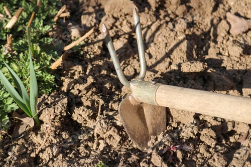 Preview: Gardening