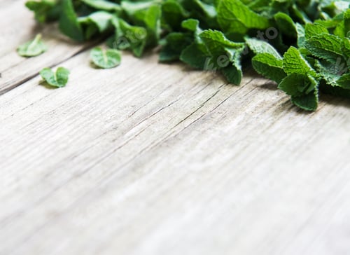 Preview: Fresh mint
