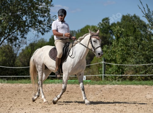 Preview: riding man and horse