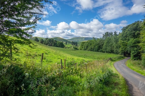 Preview: Winding Country Road