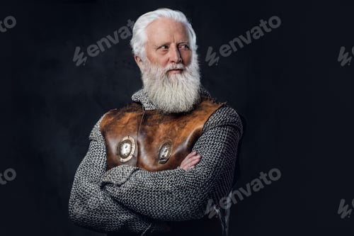 Preview: Aged crusader dressed in armor posing with crossed arms