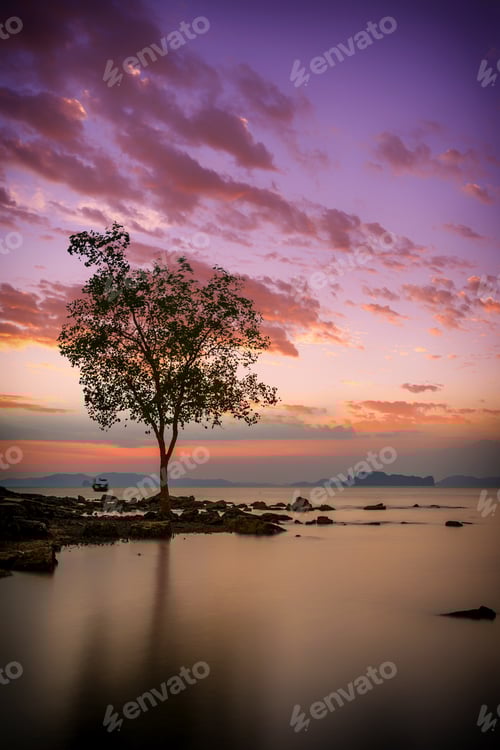 Preview: Tropical beach at sunset