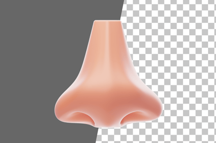 Preview: Nose 3D Icon
