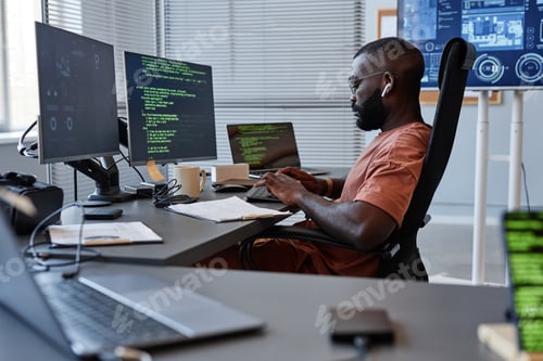 Preview: Software Developer Side View