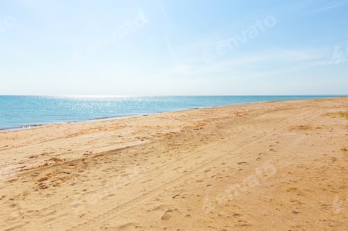 Visualização: Praia tropical