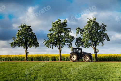 Preview: A lone tractor amidst flourishing fields under a cloudy sky.