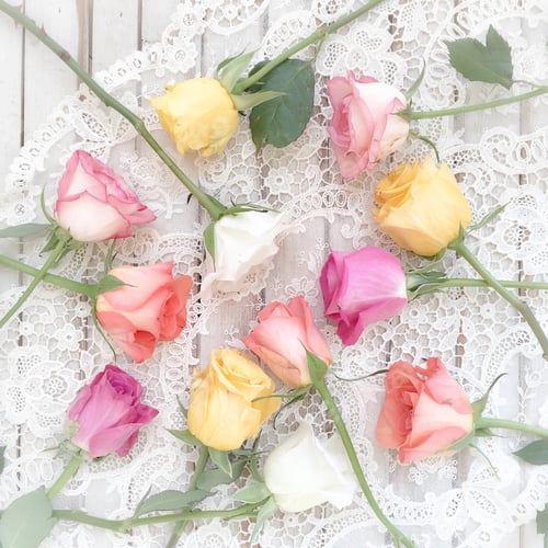 Roses of Various Colors on Lace Background